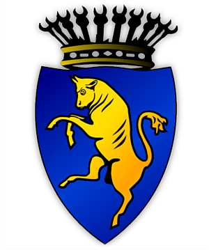 comune di torino